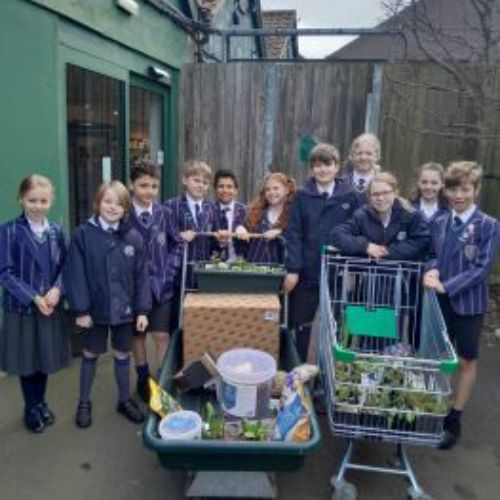 Our Eco Council School Pond Project