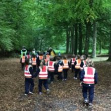 Year 1 venture out to Thetford Forest