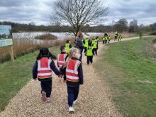 Year 1 visit Pensthorpe Nature Reserve