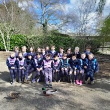 Year 2 venture out to Pensthorpe Nature Reserve