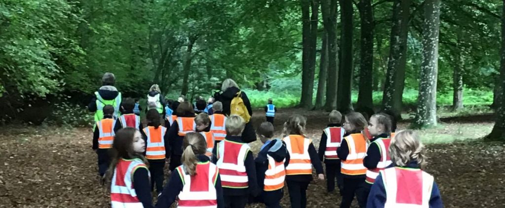 Year 1 venture out to Thetford Forest