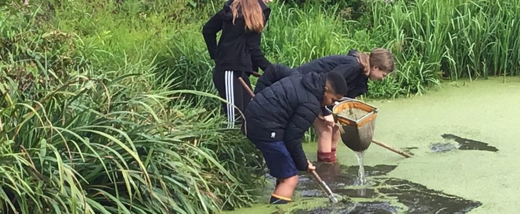 Year 8 Geography Field Trip to Flatford Mill