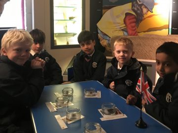 Year 3 visit the Time and Tide Museum
