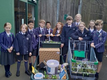 Our Eco Council School Pond Project