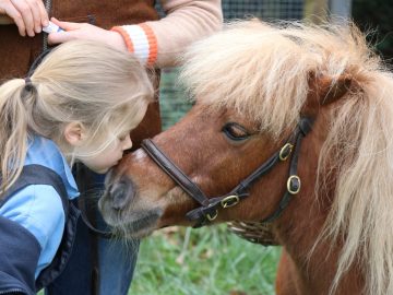 A surprise Easter visit from miniature pony Jack Brock
