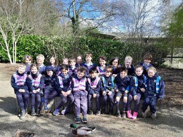 Year 2 venture out to Pensthorpe Nature Reserve